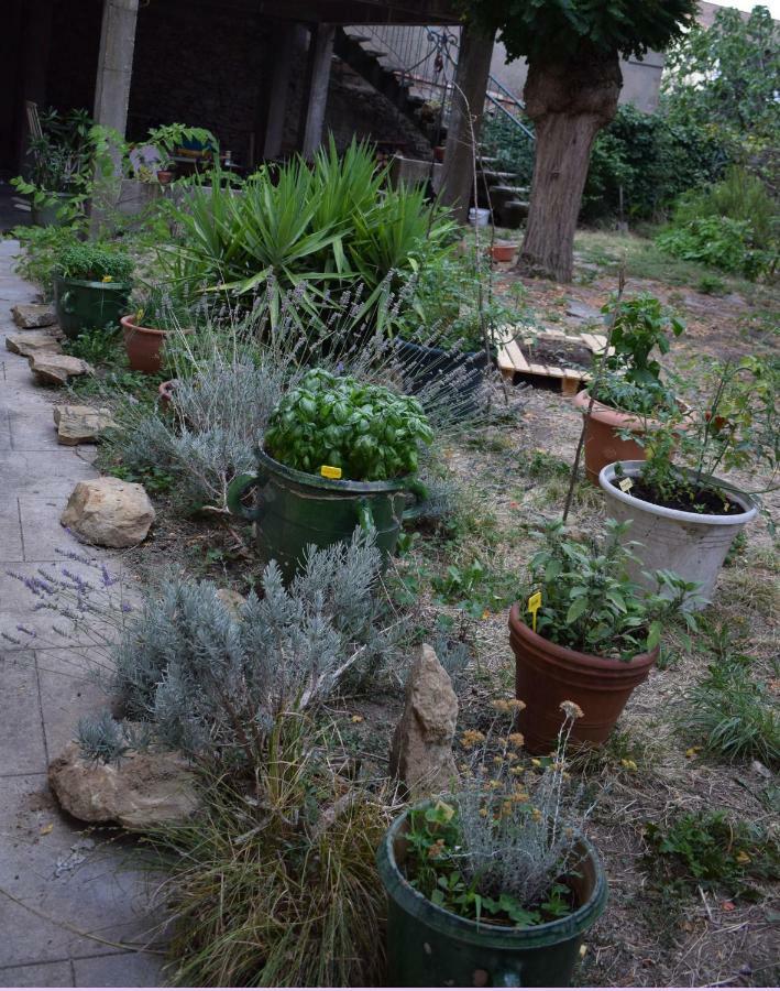 Art Home Bnb Carcassonne Eksteriør billede