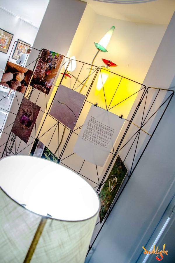 Art Home Bnb Carcassonne Eksteriør billede